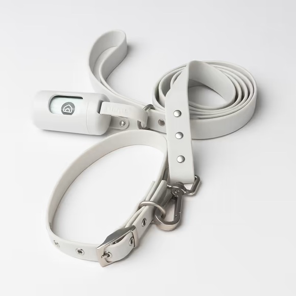 Diggs Dog Leash, Collar, and Dispenser Set - Green - Picture 1 of 14
